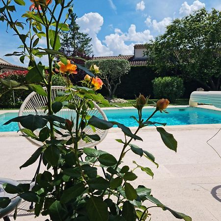 Petit Gite De Provence Mazan Ngoại thất bức ảnh
