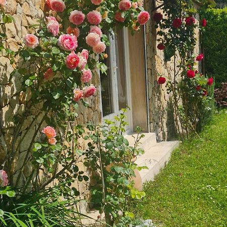 Petit Gite De Provence Mazan Ngoại thất bức ảnh