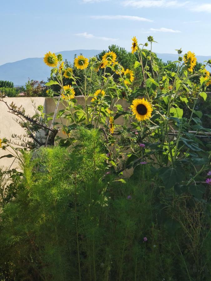 Petit Gite De Provence Mazan Ngoại thất bức ảnh