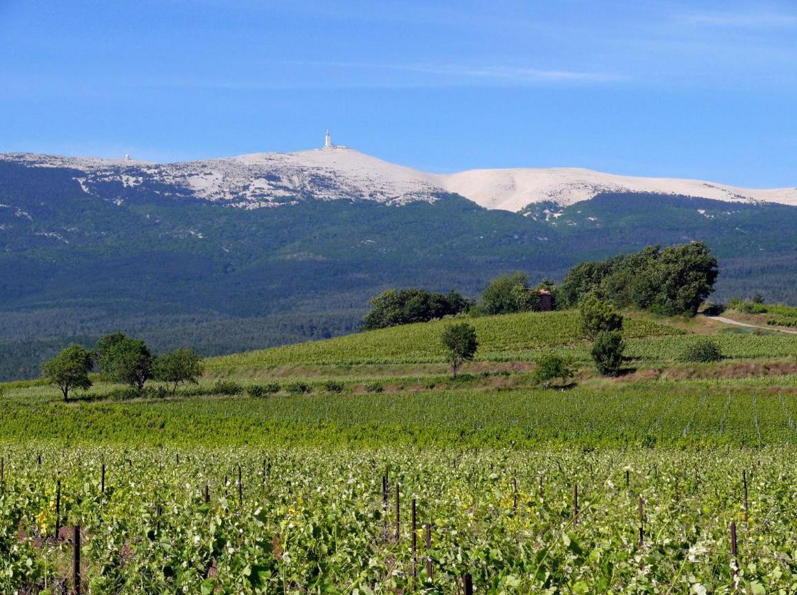 Petit Gite De Provence Mazan Ngoại thất bức ảnh