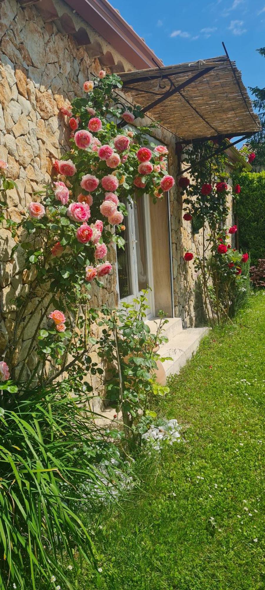 Petit Gite De Provence Mazan Ngoại thất bức ảnh